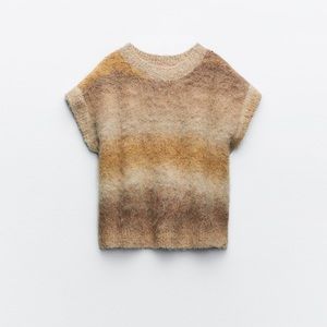 ZARA Ombre Knit Vest